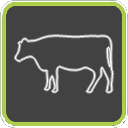 Товары для животноводства